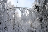Elektrolīniju atbrīvošana no sniega un kokiem - 12