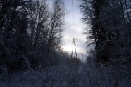 Elektrolīniju atbrīvošana no sniega un kokiem - 13