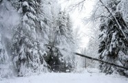 Elektrolīniju atbrīvošana no sniega un kokiem - 15