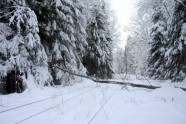 Elektrolīniju atbrīvošana no sniega un kokiem - 16
