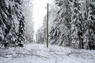 Elektrolīniju atbrīvošana no sniega un kokiem - 17