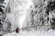Elektrolīniju atbrīvošana no sniega un kokiem - 20