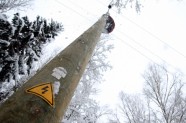 Elektrolīniju atbrīvošana no sniega un kokiem - 21