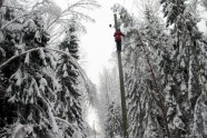 Elektrolīniju atbrīvošana no sniega un kokiem - 22