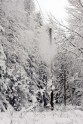 Elektrolīniju atbrīvošana no sniega un kokiem - 23