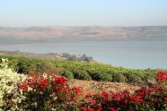 IMG_1933z оз.Кинерет/Galilejas jūra