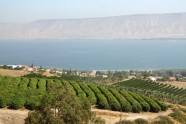 IMG_1842a оз.Кинерет/Galilejas jūra