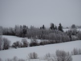 Серенький  зимний  пейзаж
