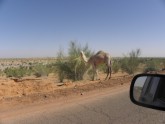 Roads.Of.Mauritania.1