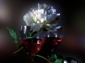 Klusā daba ar vīna glāzēm