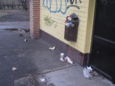 Netīrība un atkritumi Dzelzavas ielā - 5