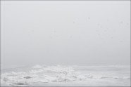 Migla un ledus iešana Daugavpilī - 17