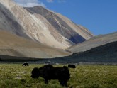 Ceļojums_Tibeta - 4