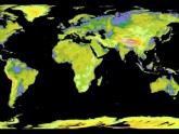 Global Digital Elevation Model