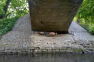 Rusis_Planking_1