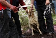 Lomisoba - aitu kaušanas svētki Gruzijā