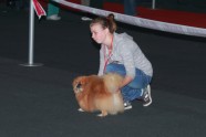 Pet Expo 2011 - 16