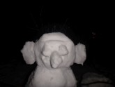 Daba. Sniegavīrs  Yanuary-9