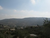Olīvu talka Palestīnā - 1