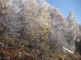 Ziemas sākums Bulgārijā - 9