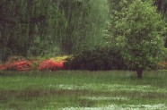 Lietus maijā